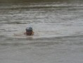 /album/fotogaleria/sdc17283-jpg/